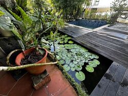 Ming Park (D20), Semi-Detached #512536291